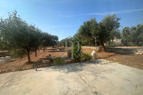 Villa i Carovigno, Brindisi, Carovigno - € 340.000 | Ref: Villa Casellini - foto 36